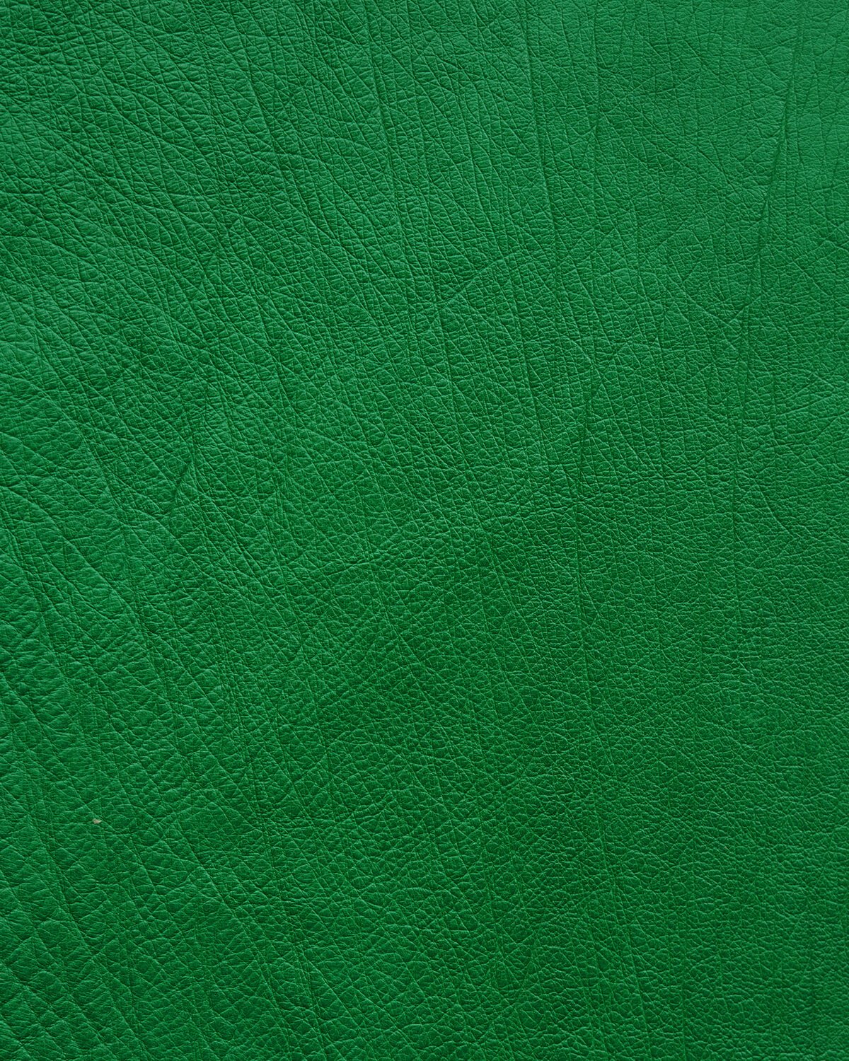 Case made of green ostrich leather without follicles for iPhone 13