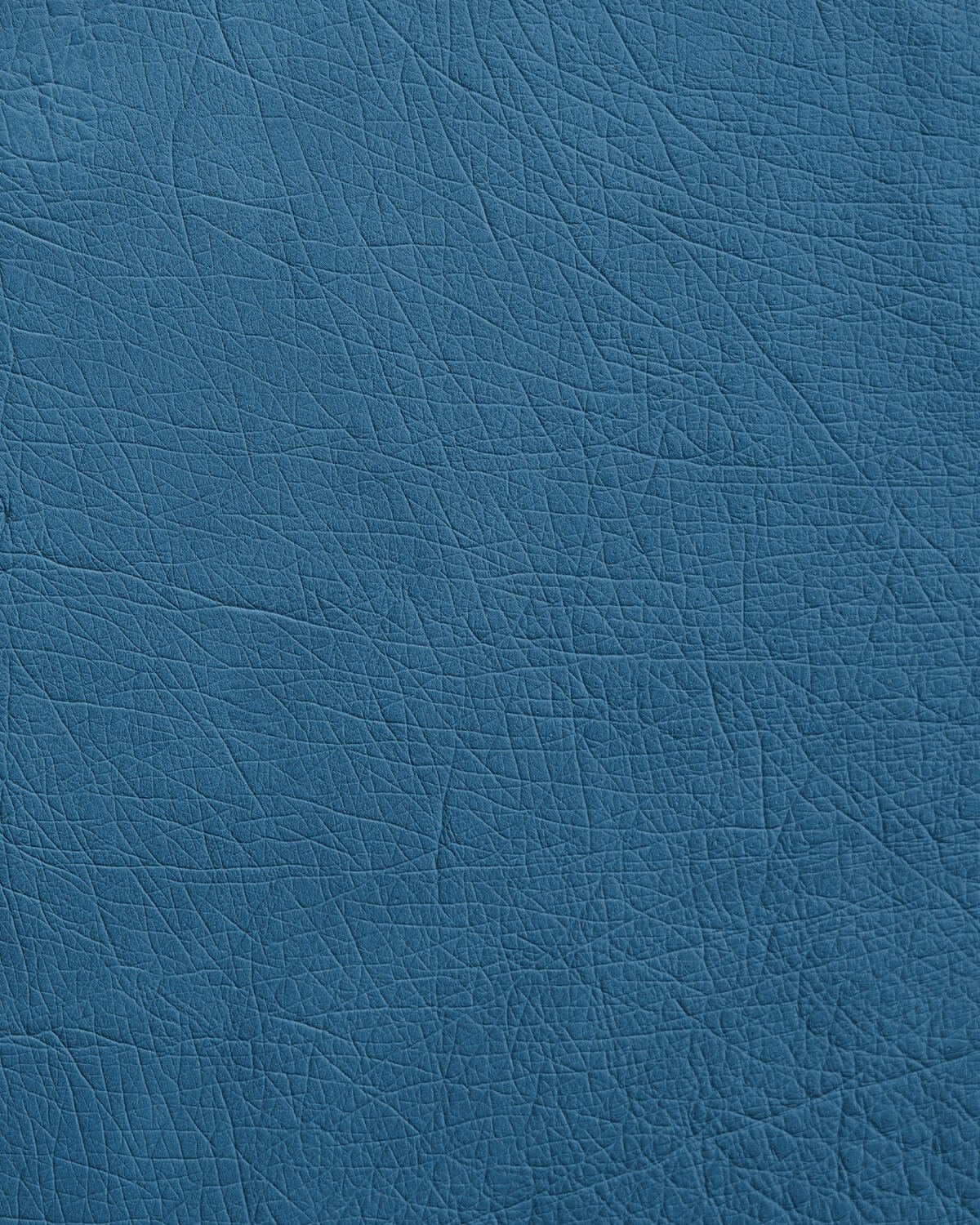 Case made of blue ostrich leather without follicles for iPhone se2020