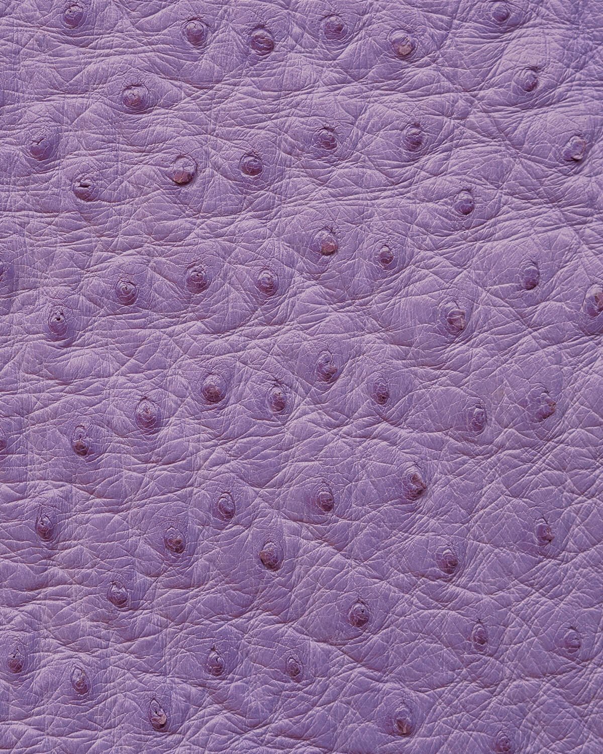 Чохол із фіолетової шкіри страуса з фолікулами для iPhone se2020